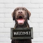 Practical Tips for Successful Employee Onboarding
